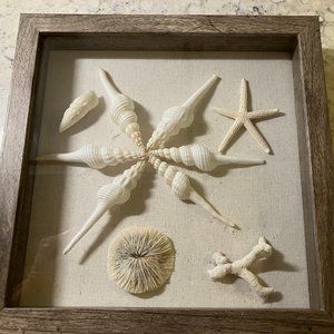 SEA SHELL SHADOW BOX